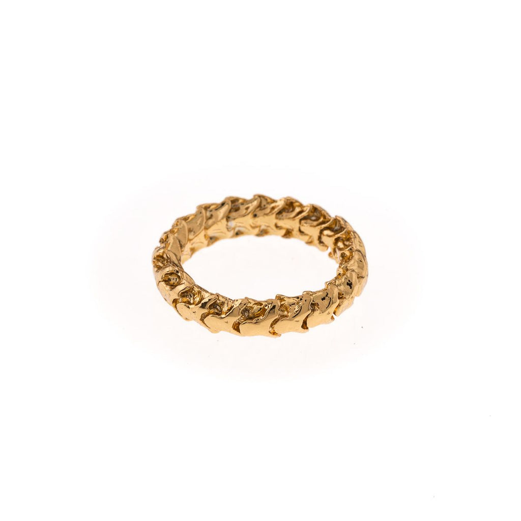 Anillo eslabones hueso