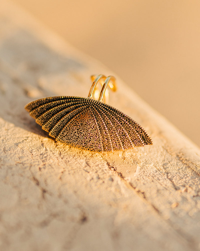 Anillo Armadillo