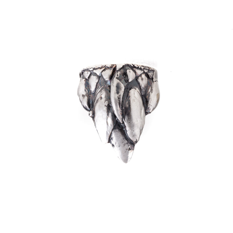 Anillo Percebe Outlet