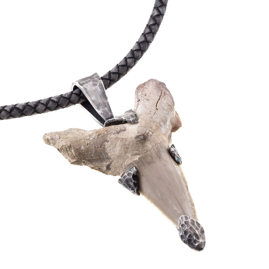 Collar diente de tiburón fósil color blanco visto de cerca